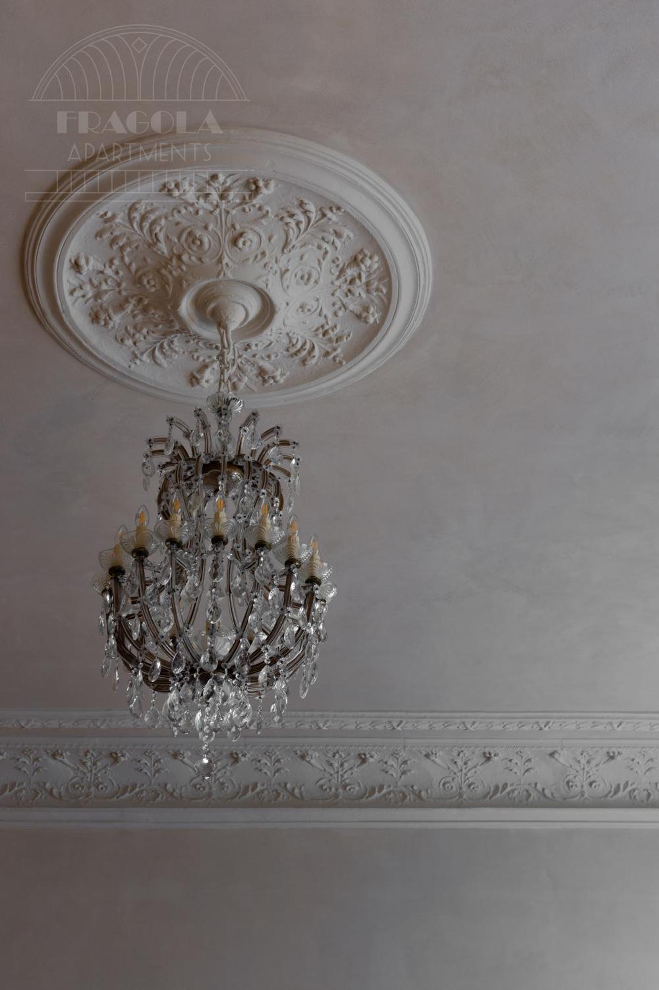 Le Jardin - Classy, Elegant In The Center Krakow